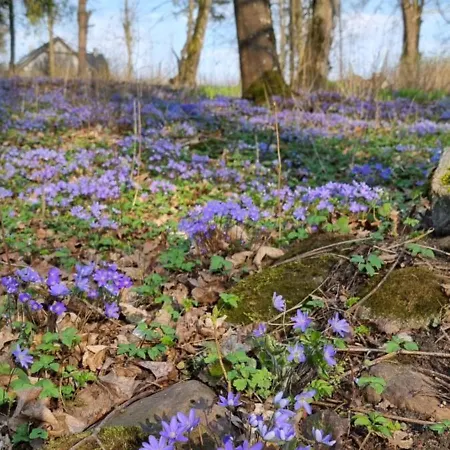 Vakantiehuis Mazury W Pigulce- Z Sauna I Balia, Woszczele *